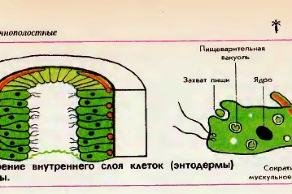 Кракен сайт 1kraken me