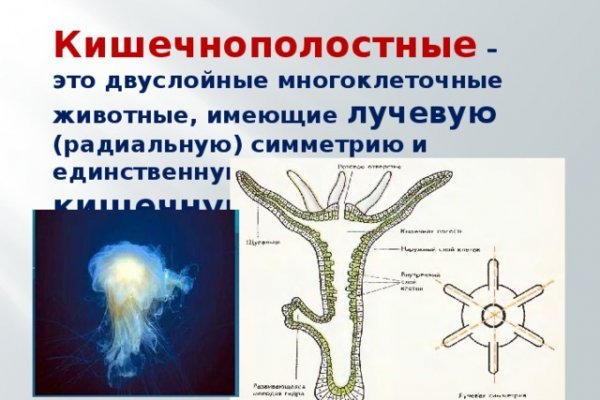 Кракен даркнет как зайти