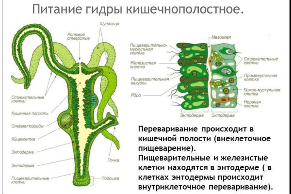 Кракен 05