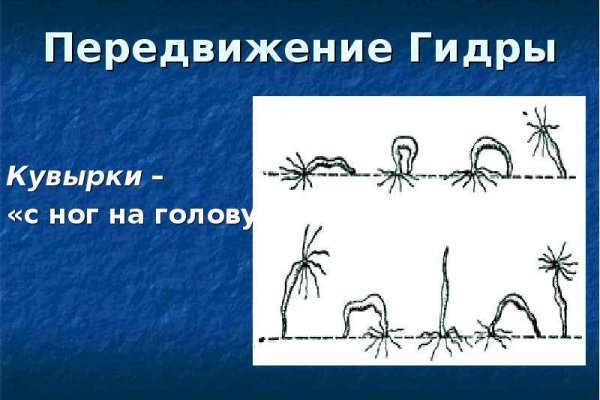 Кракен маркетплейс ссылка тг